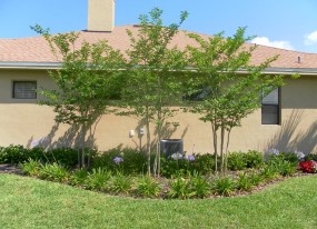 Landscaping Lakeland FL